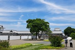 20240615_131941-scaled