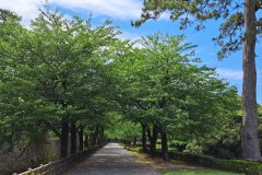 20240615_132407-scaled