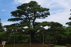 20240615_134032-scaled