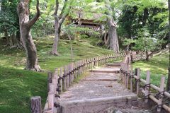 20240615_134525-scaled