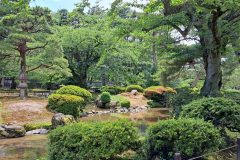 20240615_134638-scaled