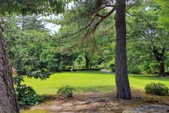 20240615_135046-scaled