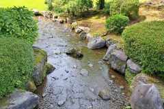 20240615_135115-scaled