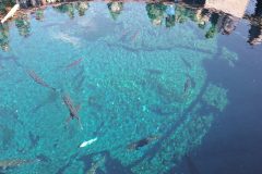 20240309_123818-scaled