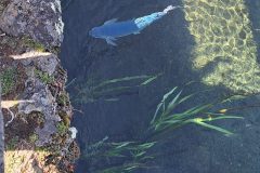 20240309_124138-scaled