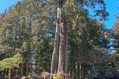 20240309_131037-scaled