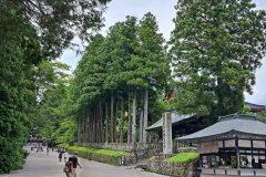 20240701_125219-scaled