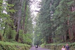 20240701_132326-scaled