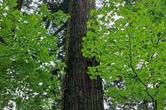 20240701_132504-scaled