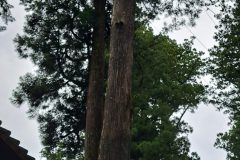 20240701_134509-scaled