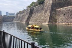 20240317_104216-scaled