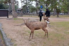 20240317_125503-scaled